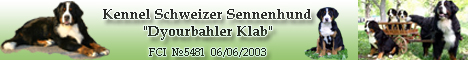 Berner Sennenhund & Grosser Schweizer Sennenhund Kennel  "Dyourbahler Klab" 